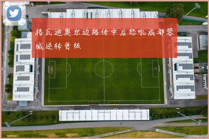 格瓦迪奥尔边路传中后怒吼成都蓉城逆转晋级