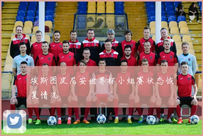 埃斯图皮尼安世界杯小组赛状态恢复情况