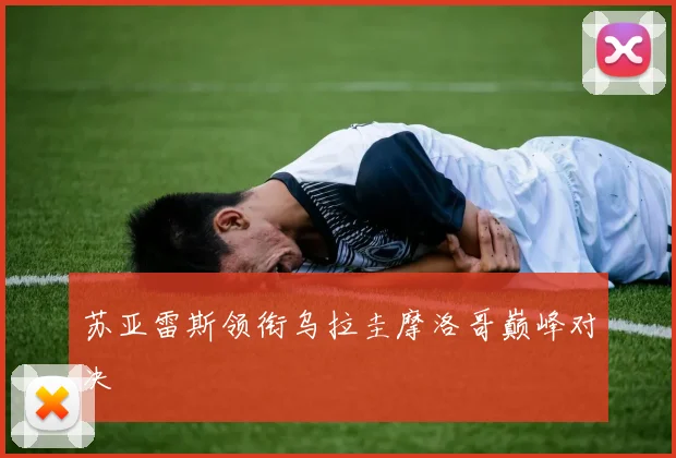 苏亚雷斯领衔乌拉圭摩洛哥巅峰对决