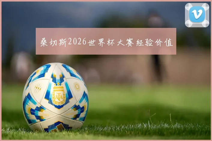 桑切斯2026世界杯大赛经验价值