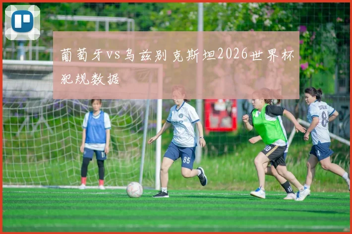 葡萄牙vs乌兹别克斯坦2026世界杯犯规数据