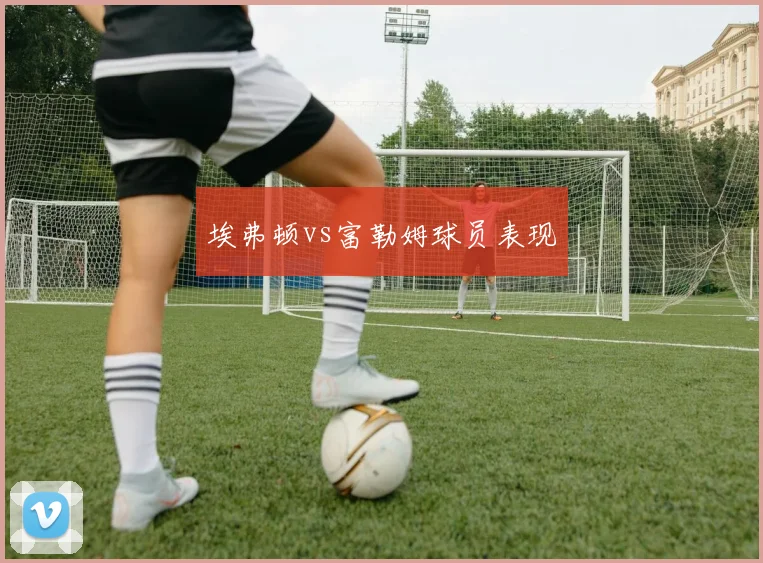 埃弗顿vs富勒姆球员表现