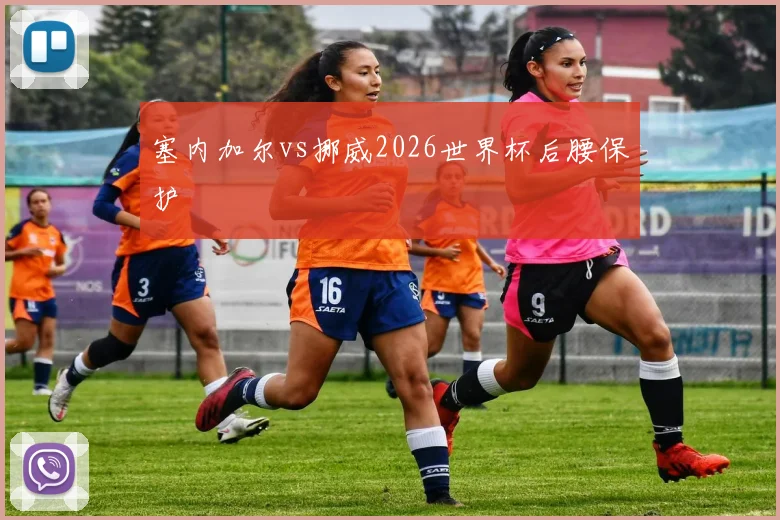 塞内加尔vs挪威2026世界杯后腰保护
