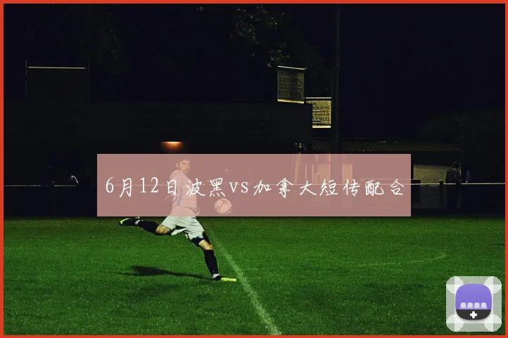 6月12日波黑vs加拿大短传配合