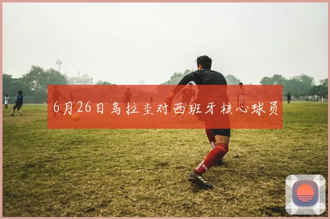 6月26日乌拉圭对西班牙核心球员